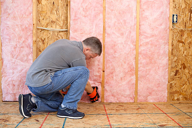 Best Energy Efficiency Solutions in Bushland, TX